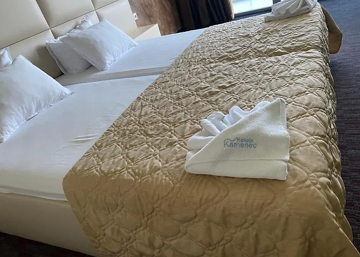 Kamenec ホテル 4*