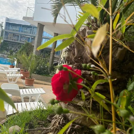 Отель Kamenec 4*